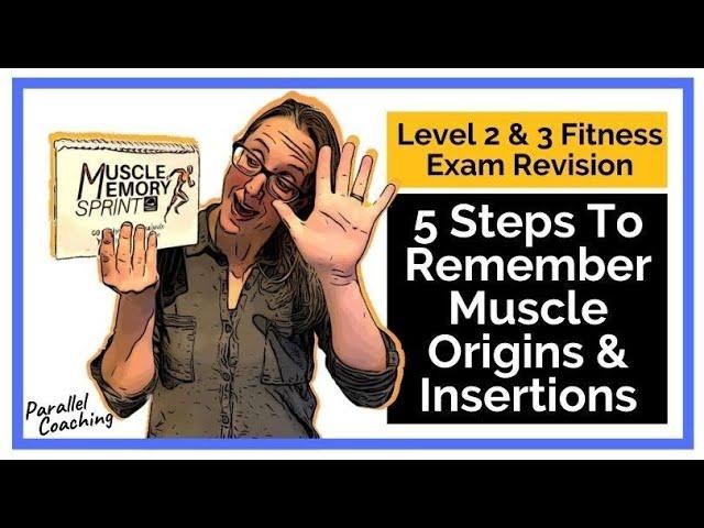 Mastering Muscle Memorization: 5 Steps to Ace Your Anatomy Exam