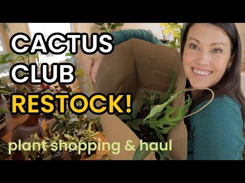 Rare Plant Haul from Cactus Club Restock - A Plant Enthusiast's Paradise