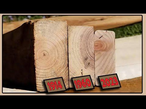The Fascinating History of 2x4 Lumber: From Manual Planing to National Standards
