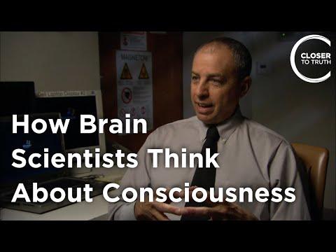 Exploring Consciousness and Brain Networks: A Clinician's Perspective