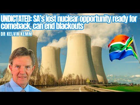 The Future of Nuclear Energy in South Africa: Insights from Dr. Kelvin Kim
