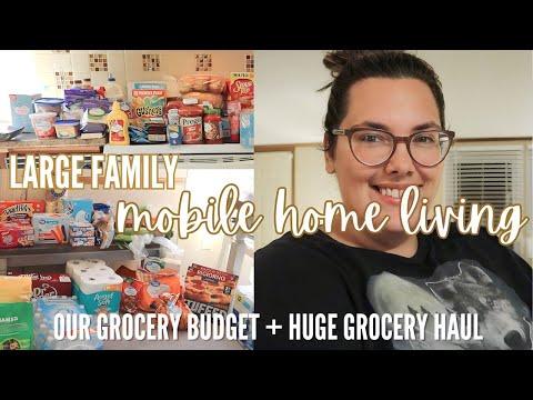 Grocery Haul for a Family of Six: Budgeting, Meal Planning, and Community Connections