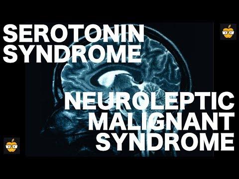 Understanding Serotonin Syndrome and Neuroleptic Malignant Syndrome