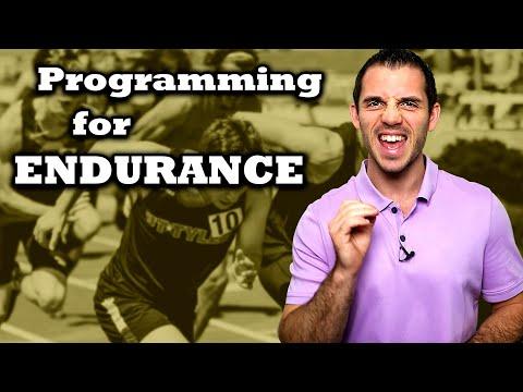 Maximizing Endurance Training: A Comprehensive Guide