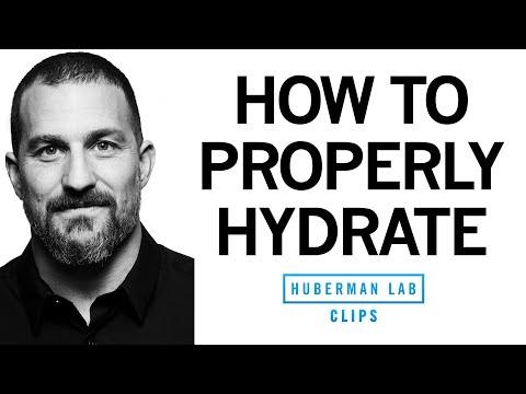 Hydration Tips: How to Stay Hydrated Throughout the Day