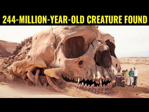 Mysterious Discoveries of Giant Creatures and Abandoned Places