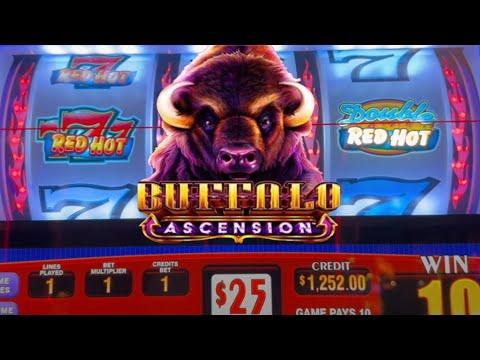 Unleashing the Excitement: A Wild Ride with the Buffalo Slot Machine
