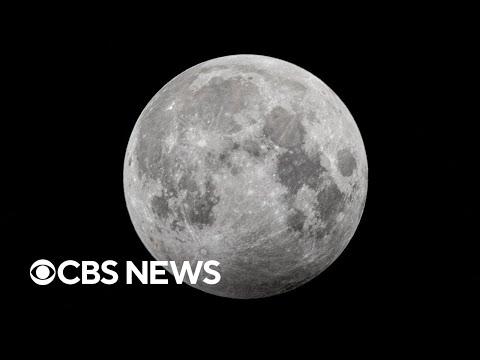 Private Company Makes Historic Moon Landing: A New Era of Space Exploration
