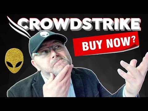 CrowdStrike Stock Analysis: Earnings Report, Growth, and Potential Threats