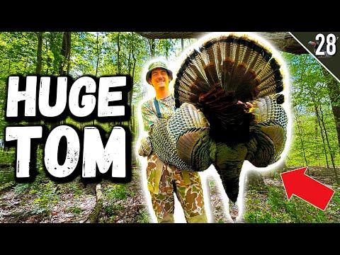Ultimate Turkey Hunting Guide: Tips and Strategies for a Successful Hunt