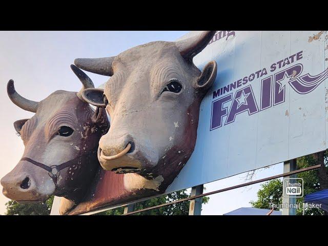 Minnesota State Fair: A Fun-Filled Day of Cattle Shows and Horse Competitions