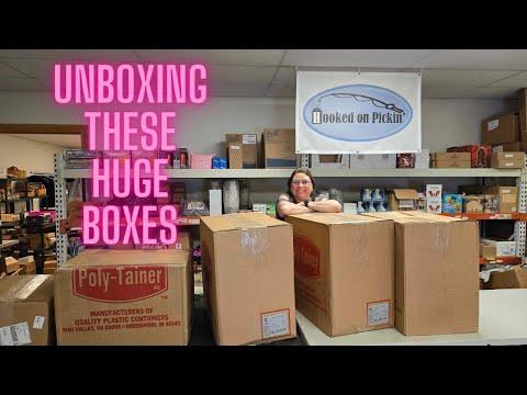 Discovering Unique Treasures: Unboxing a Variety of Impulse Buys