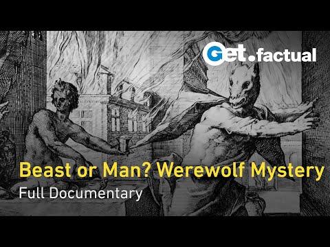 Unraveling the Mysteries of Werewolves: From Ancient Myths to Modern Sightings