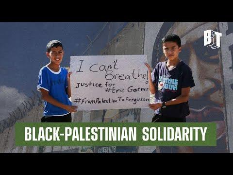 The Black Liberation Movement's Solidarity with Palestine: A Closer Look