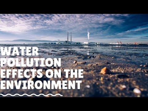 Water Pollution Effects on the Environment